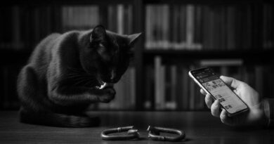 kayip-halkalarin-izinde-yer-degistirme-davranisi-analizi