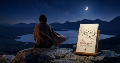Lâl Coğrafyanın Şiirleri kitap kapağı, gece manzarası önünde oturan bir figür